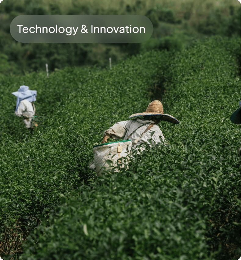 West Asia Conflict Deals a Double Whammy to India's Farm Sector