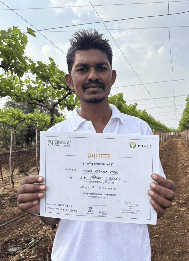 Phala workers holding certificates